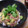 mayo．n's cooksnap of when they made アボカド&マグロ丼★アジア風.