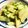ちづりんも's cooksnap of when they made 摘果メロンの漬物.