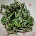 たちんぺ's cooksnap of when they made こごみのワサマヨネーズ。.