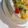 さゆゆゆこ's cooksnap of when they made フルーツデコレーションケーキpart2.