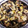 ⊕ARuMa⊕'s cooksnap of when they made サザエの炊き込みご飯.