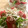 広野のタイタン's cooksnap of when they made 桜えびとトマト・水菜の簡単サラダ♪.
