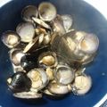 クックM5IJW5☆'s cooksnap of when they made シジミのオイスターソース炒め.