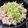 チョロ坊's cooksnap of when they made やわらか☆タコ飯.