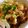 mykn23's cooksnap of when they made 超手抜き唐揚げ丼.