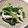 １２５☆'s cooksnap of when they made ほうれん草とカニカマのナムル☆.