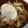 taishourei's cooksnap of when they made ✿簡単✿１：１：１の調味料de牛丼.