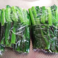 ☆こたみな's cooksnap of when they made 菜の花☆冷凍保存.