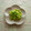 クレイプメートル's cooksnap of when they made 豆苗と卵の炒めもの☆コンソメ味.
