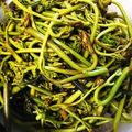うさあや＾＾'s cooksnap of when they made 超簡単失敗無。色キレイ　わらび　あく抜き.