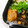 ♡мiчаⅵ♡⋆'s cooksnap of when they made ふんわり卵の揚げシュウマイ.