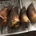 Sa〜ちゃん's cooksnap of when they made たけのこ＊オスとメスの見分け方＊.