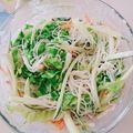 みきんこ✿'s cooksnap of when they made たっぷり野菜の春雨マヨサラダ.