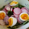 夢子ちゃまさん's cooksnap of when they made 水菜とラディッシュのサラダ♡.