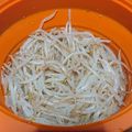 かかよー's cooksnap of when they made 簡単絶品！もやしナムル★.