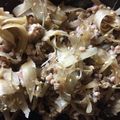 おはなとてんとうむし's cooksnap of when they made ※きんぴらごぼう※.