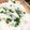 しのちん♡'s cooksnap of when they made 色良し！シワなし！簡単豆ごはん.