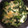 とざかな's cooksnap of when they made 三つ葉の卵とじ.