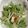 クック00N8WZ☆'s cooksnap of when they made おもてなしにも！アボガドとセロリのサラダ.