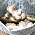mametamu's cooksnap of when they made 椎茸の保存法.