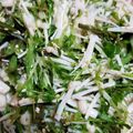 かわぐち？'s cooksnap of when they made たらの芽のナムル.