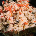 ヨヌ☆'s cooksnap of when they made しっとりおからの炊いたん～卯の花～.