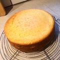 華奏's cooksnap of when they made しっとり仕上げ◎ベイクドチーズケーキ.