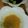 ですくとっぷ's cooksnap of when they made 簡単もろきゅう.