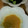ですくとっぷ's cooksnap of when they made 簡単もろきゅう.