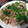 どら1981's cooksnap of when they made ほうれん草とえのきとベーコンの簡単ソテー.