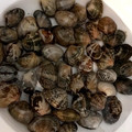 さたなこ's cooksnap of when they made あさりの砂抜き 裏ワザ ふっくら.