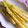 リジー＊£ove's cooksnap of when they made 簡単蒸し野菜、アスパラ.