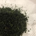 みひろひろろ's cooksnap of when they made ドライパセリの作り方♪茎はスープ用に冷凍.