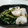 まる☆りん's cooksnap of when they made カブとミョウガのあっさり漬物.