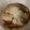 クックRX7SML☆'s cooksnap of when they made もつ煮込み.