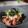 戦うコックサン's cooksnap of when they made ブロッコリーのダブルごまサラダ.