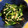 大熊猫さん's cooksnap of when they made 麺つゆで簡単！春菊とえのきのお浸し.