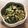 りのめーる's cooksnap of when they made ほうれん草と炒り卵のサラダ《常備菜》.