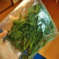 クックBNQ5PD☆'s cooksnap of when they made パセリの保存、冷凍で刻みパセリ♪.