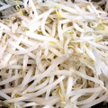 ☆hanonano☆'s cooksnap of when they made シャキシャキ！白く仕上がるもやしの下処理.