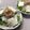 ほろまる's cooksnap of when they made ☆さっぱり新たまねぎと豆腐サラダ☆.