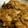 ae86_km's cooksnap of when they made これぞ黄金率！豚しょうが焼き.