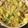クックZ8J4H4☆'s cooksnap of when they made 白菜と鰹節のサラダ。.