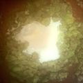 みぶ菜's cooksnap of when they made ビールのおつまみに！アボカドとまぐろ納豆.