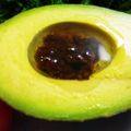 hawaiisunny's cooksnap of when they made 健康を気遣うあなたへ～醤油麹でアボカド♬.