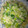ルリカラクサ's cooksnap of when they made めんつゆで簡単♪長ネギの炒め煮.