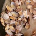 トラとつる's cooksnap of when they made あさりのバター酒蒸し.