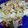 makky0424's cooksnap of when they made 簡単キャベツとソーセージのマスタード炒め.