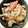 Peruga's cooksnap of when they made タケノコ姫皮と大根のヘルシーサラダ.