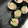 さゆゆゆこ's cooksnap of when they made ソーセージときゅうりのチーズ海苔巻き.